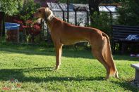 Amerigo_3