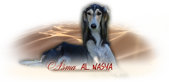 iko asma